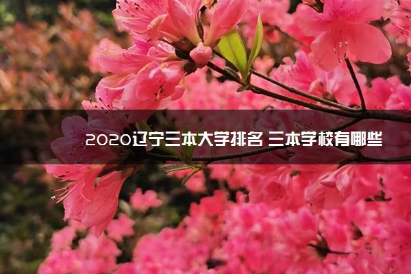 2020辽宁三本大学排名 三本学校有哪些