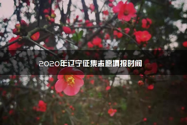 2020年辽宁征集志愿填报时间