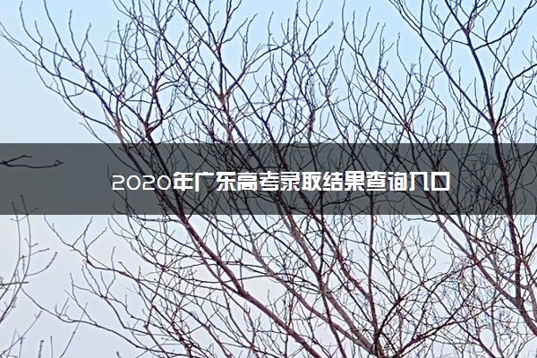 2020年广东高考录取结果查询入口