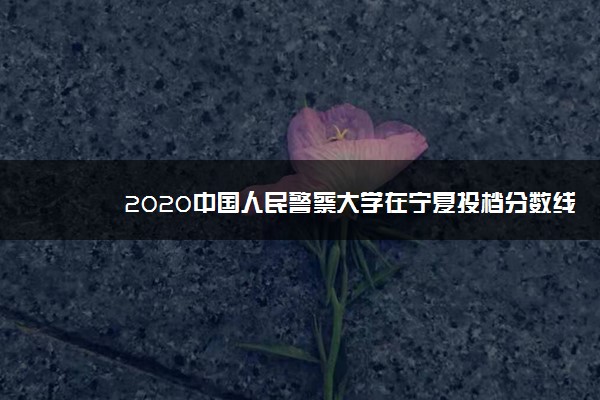 2020中国人民警察大学在宁夏投档分数线