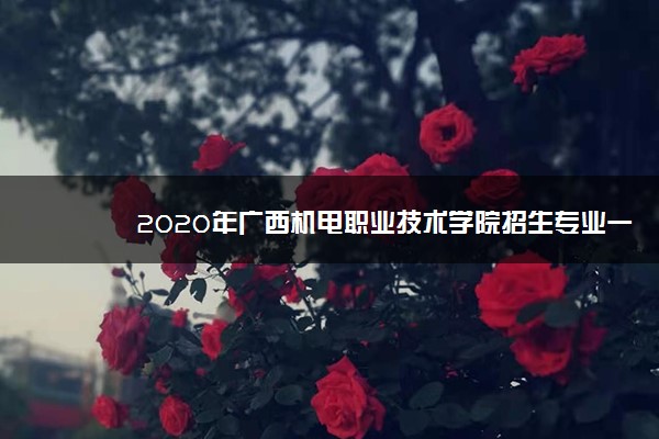 2020年广西机电职业技术学院招生专业一览表