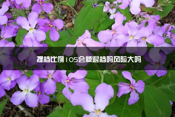 提档比例105会被退档吗风险大吗