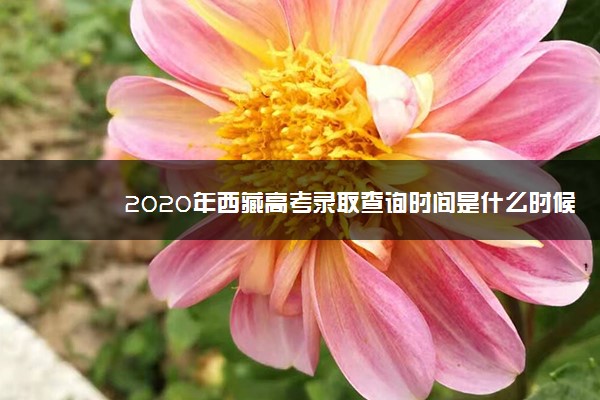 2020年西藏高考录取查询时间是什么时候