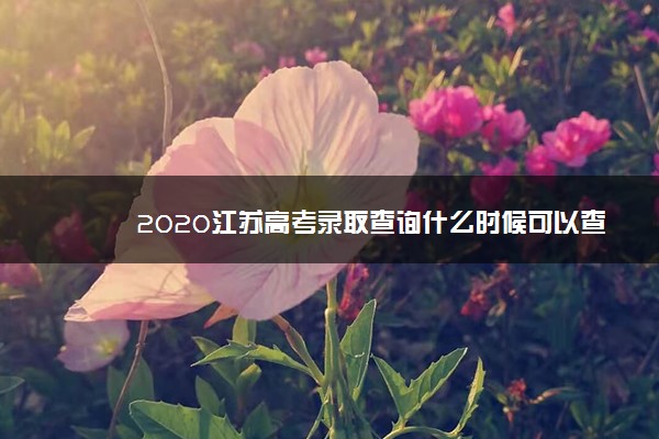 2020江苏高考录取查询什么时候可以查