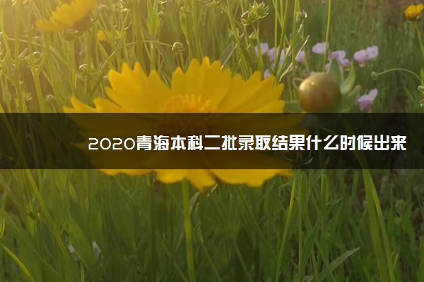 2020青海本科二批录取结果什么时候出来