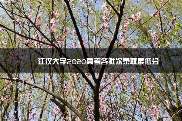 江汉大学2020高考各批次录取最低分