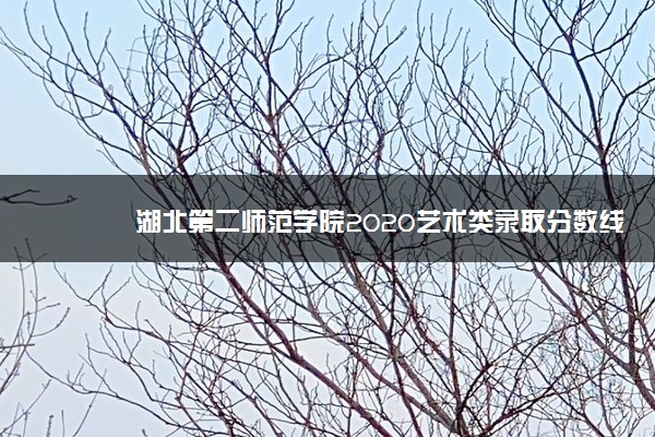 湖北第二师范学院2020艺术类录取分数线