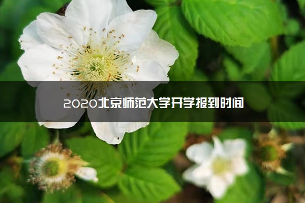 2020北京师范大学开学报到时间