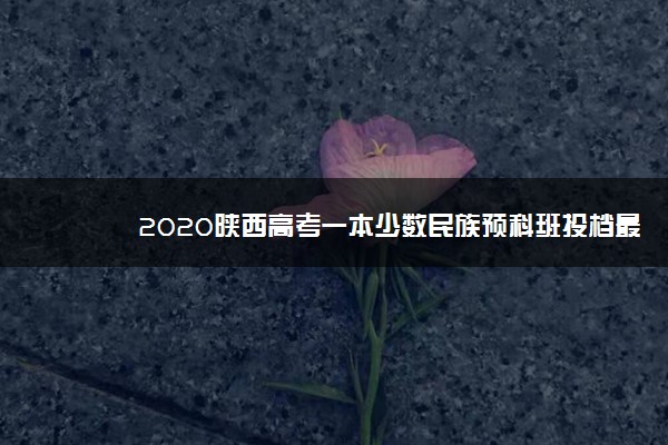 2020陕西高考一本少数民族预科班投档最低分