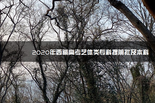 2020年西藏高考艺体类专科提前批及本科二批征集志愿填报时间