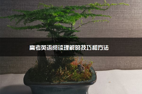 高考英语阅读理解的技巧和方法