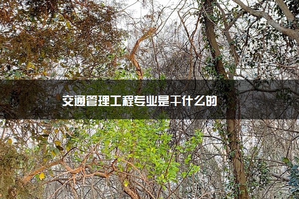 交通管理工程专业是干什么的