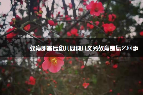 教育部答复幼儿园纳入义务教育是怎么回事