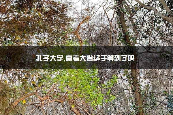 孔子大学，高考大省终于等到了吗