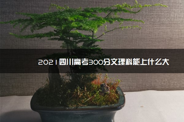 2021四川高考300分文理科能上什么大学