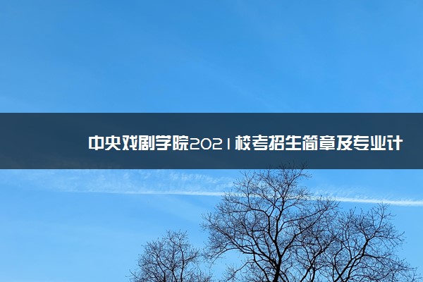 中央戏剧学院2021校考招生简章及专业计划