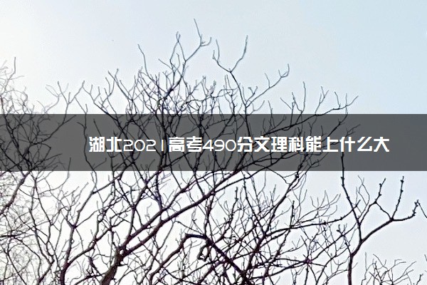 湖北2021高考490分文理科能上什么大学