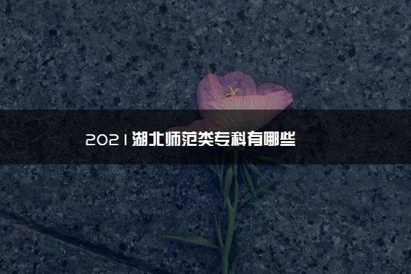 2021湖北师范类专科有哪些