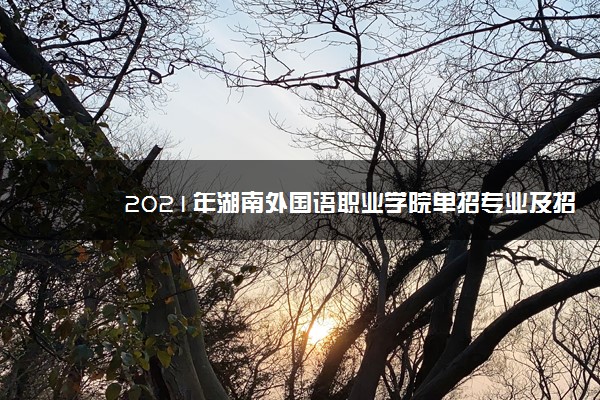 2021年湖南外国语职业学院单招专业及招生计划