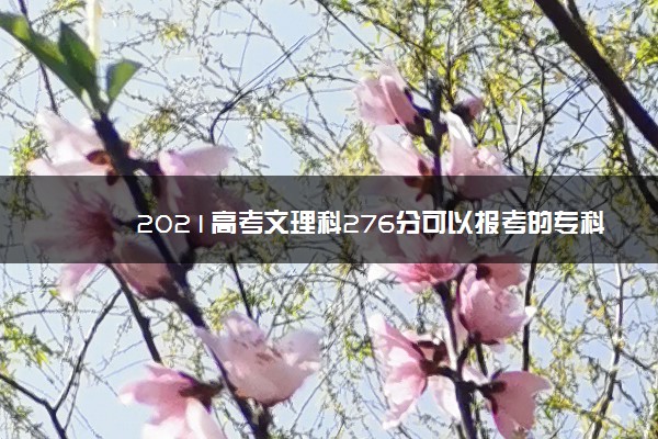 2021高考文理科276分可以报考的专科院校名单