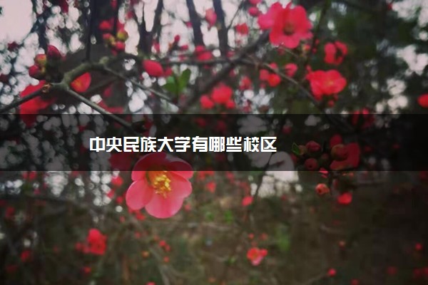 中央民族大学有哪些校区