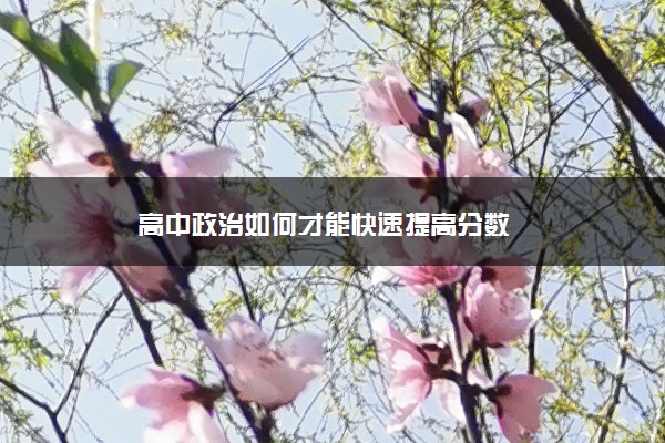 高中政治如何才能快速提高分数