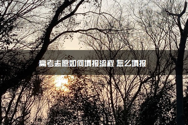 高考志愿如何填报流程 怎么填报