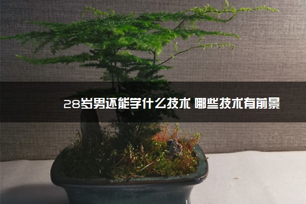 28岁男还能学什么技术 哪些技术有前景