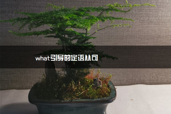 what引导的定语从句