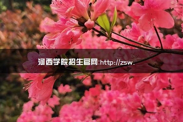 河西学院招生官网：http://zsw.hxu.edu.cn/