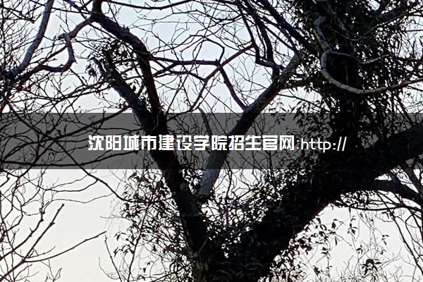 沈阳城市建设学院招生官网：http://zszx.syucu.edu.cn/