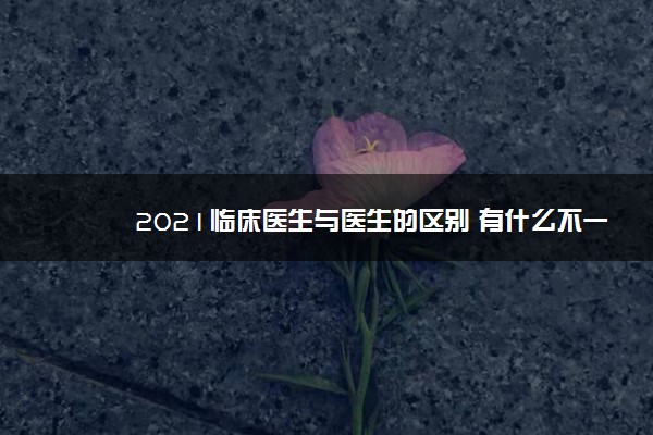 2021临床医生与医生的区别 有什么不一样