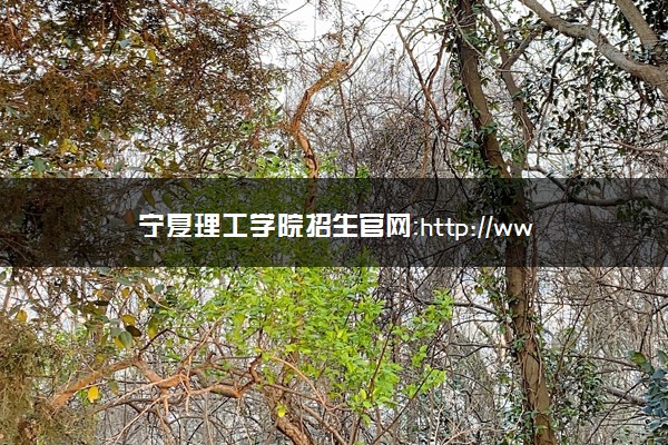 宁夏理工学院招生官网：http://www.nxist.com/NXLGZSW/views/inde