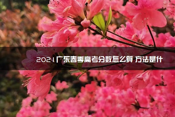 2021广东春季高考分数怎么算 方法是什么