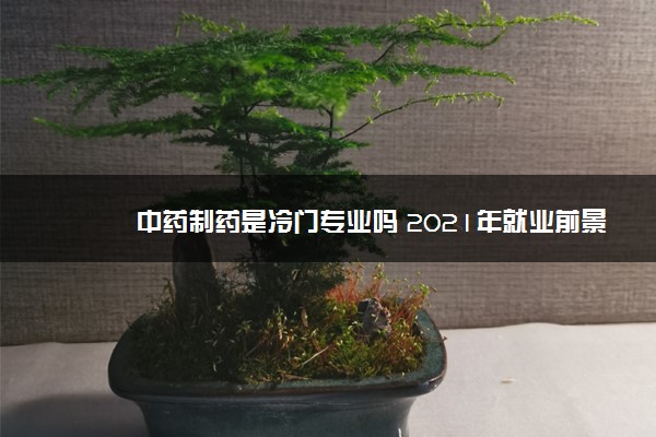 中药制药是冷门专业吗 2021年就业前景分析