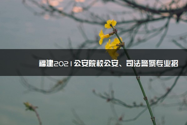 福建2021公安院校公安、司法警察专业招生录取流程