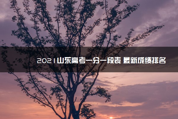 2021山东高考一分一段表 最新成绩排名