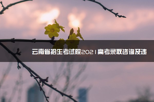 云南省招生考试院2021高考录取咨询及违规举报联系方式