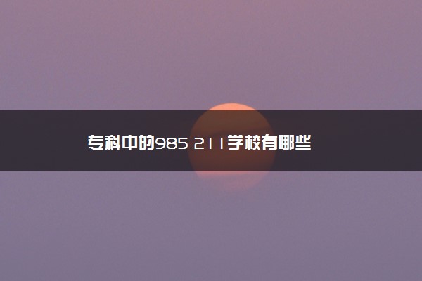 专科中的985 211学校有哪些