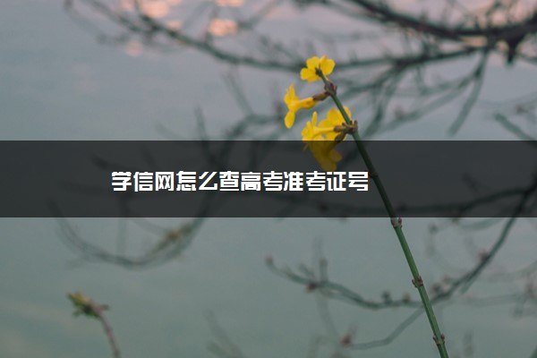 学信网怎么查高考准考证号