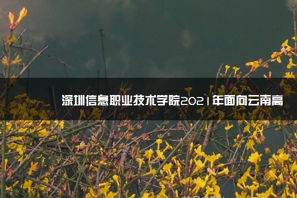 深圳信息职业技术学院2021年面向云南高职专项招生计划