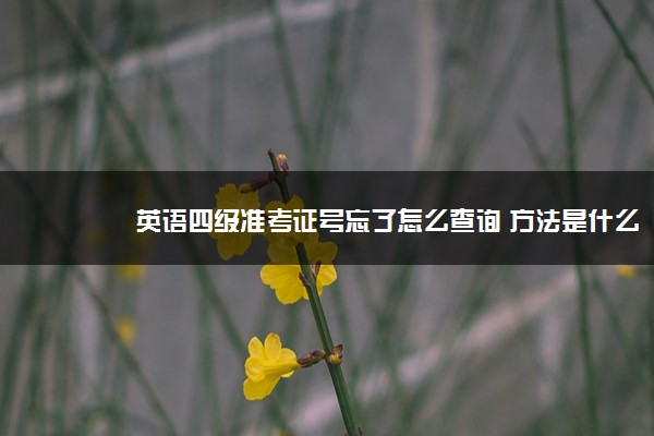 英语四级准考证号忘了怎么查询 方法是什么