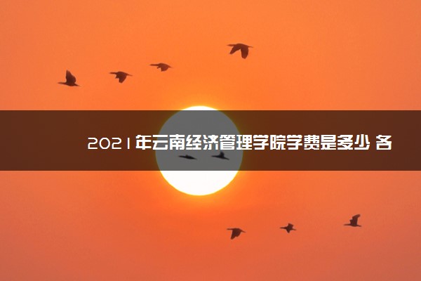 2021年云南经济管理学院学费是多少 各专业收费标准一览