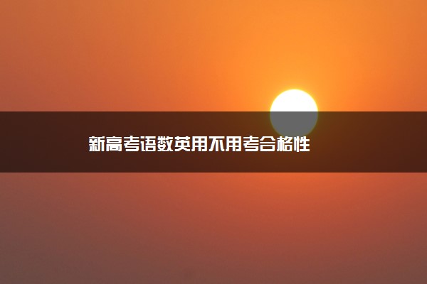 新高考语数英用不用考合格性