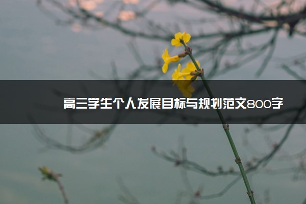 高三学生个人发展目标与规划范文800字