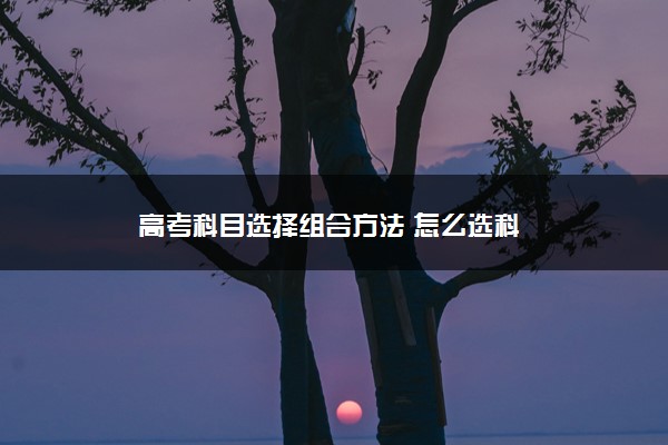 高考科目选择组合方法 怎么选科