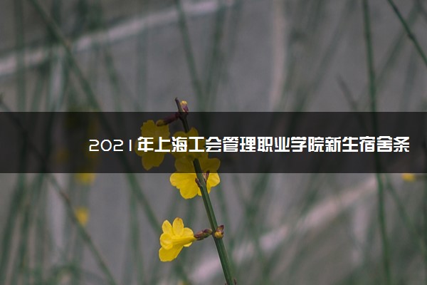 2021年上海工会管理职业学院新生宿舍条件图片环境怎么样,有独立卫生间吗