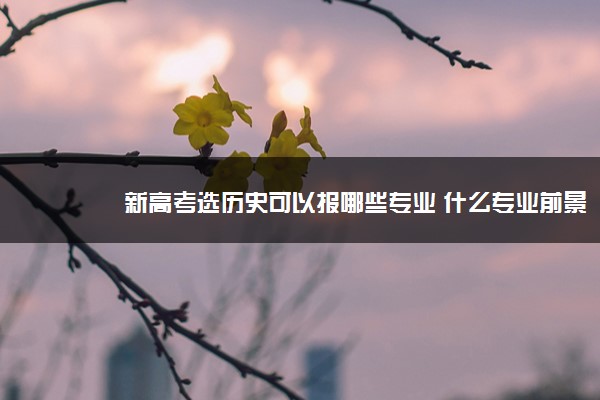 新高考选历史可以报哪些专业 什么专业前景好