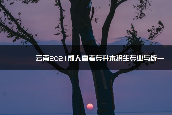 云南2021成人高考专升本招生专业与统一考试科目对照表