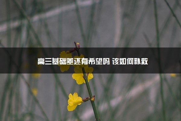 高三基础差还有希望吗 该如何补救